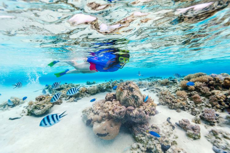 Snorkeling alle Maldive