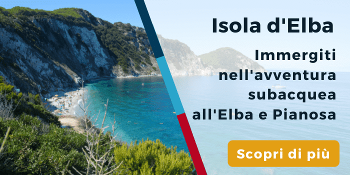 Diving isola Elba