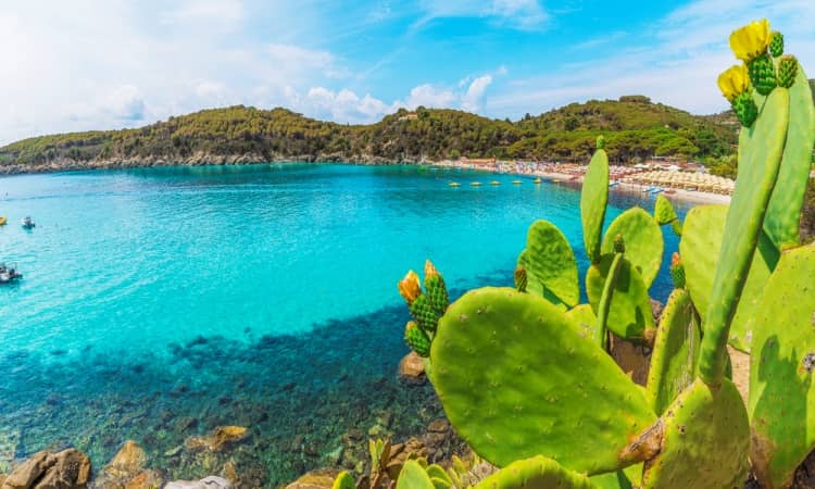 Cosa vedere e fare all'Isola d'Elba