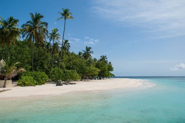 Atollo di Ari, Maldive