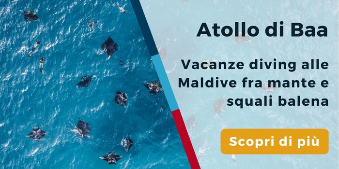 Vacanze diving Atollo di Baa