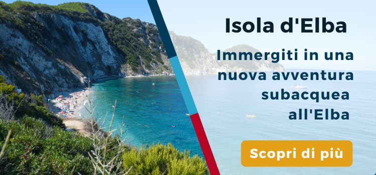 Immersioni subacquee Elba