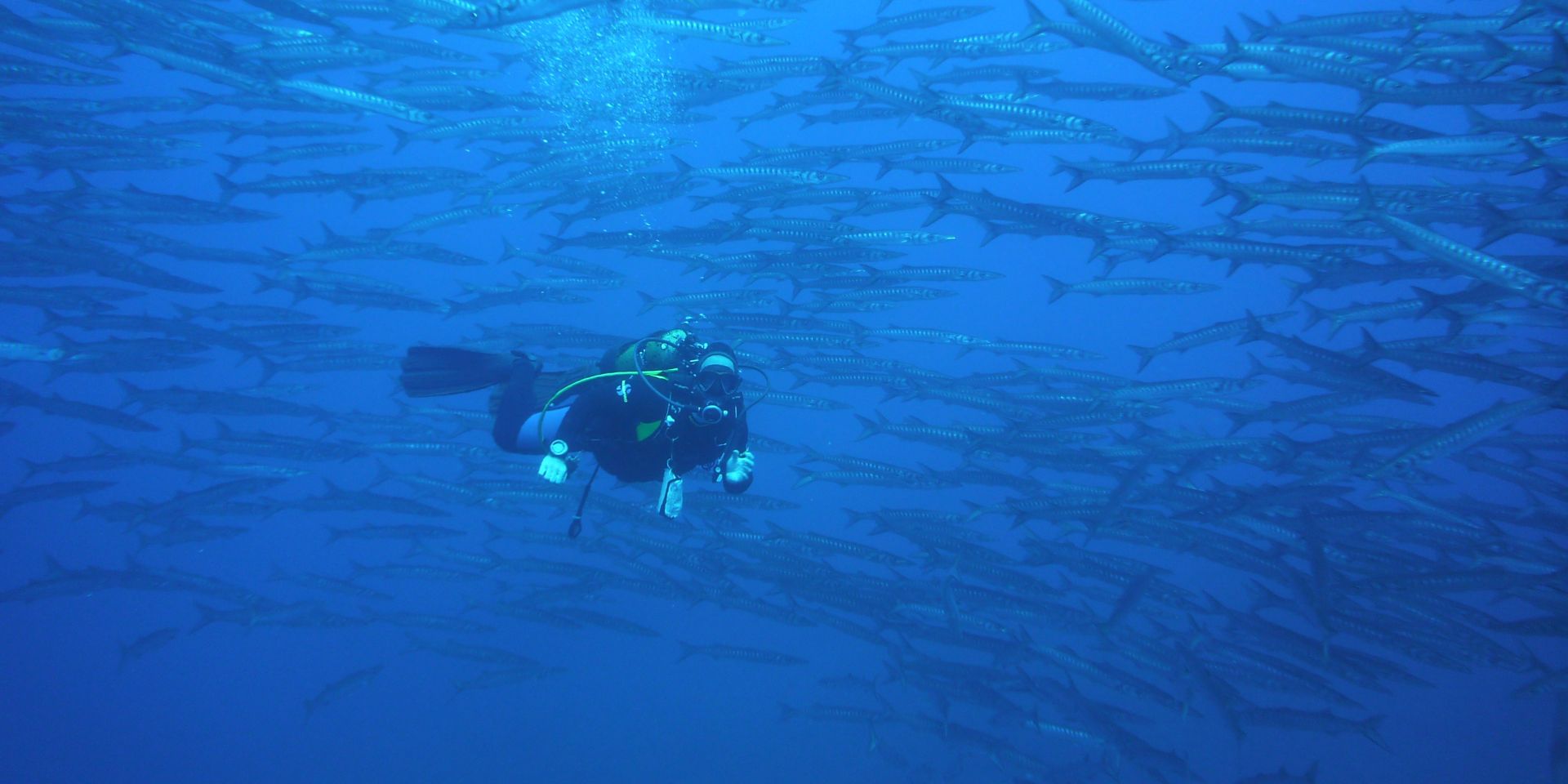 Settimana Blu a Ustica