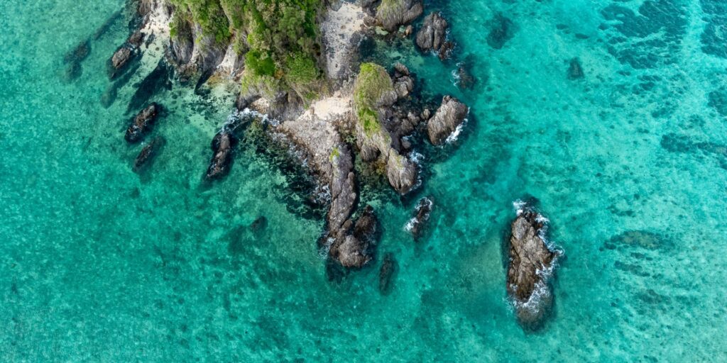 Vacanze diving Giappone e Okinawa