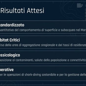 Risultati attesi