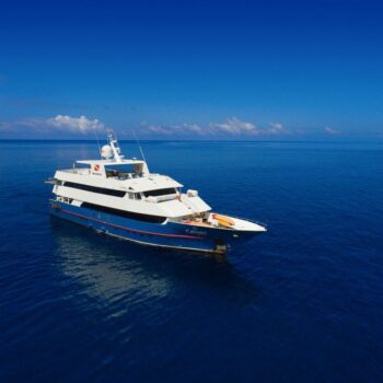 Crociera diving alle Galapagos