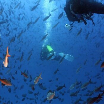 Diving alle Galapagos